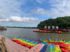 -上海海湾国家森林公园