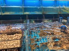 -九月海·海鲜自助(世纪东方店)