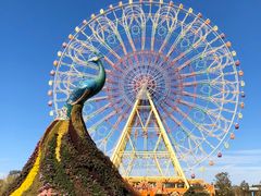 -七彩云南欢乐世界