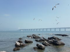 -黑石礁公园