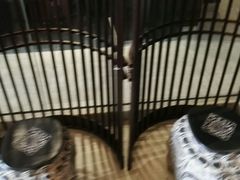 -春熙小馆(乘风庄店)