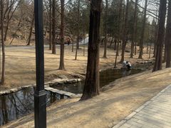 -白水寺森林公园