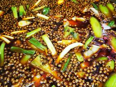 -麻辣渔夫·水煮蛙·烤鱼(万达金街总店)