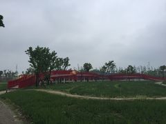 -杭州湾海上花田景区