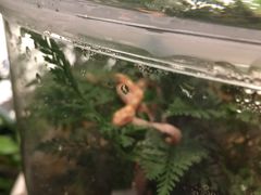 -杭州平安悦坊 PAFC LIVING