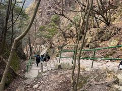 -四明山国家森林公园