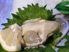 法式刺身生蚝-千岛蚝高压锅生蚝·人参火锅(白云万达店)