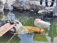 -龙华寺