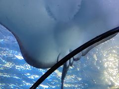 -太平洋海底世界