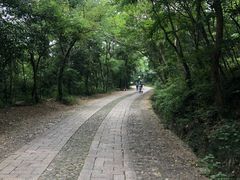 -紫金山山顶公园