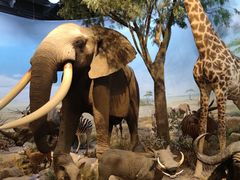 -陕西自然博物馆