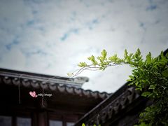 -檀园