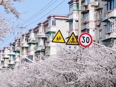 -永乐路-路侧停车场