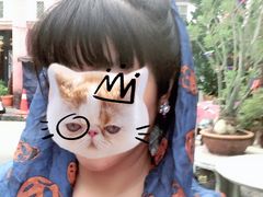 -槟城街头艺术街区