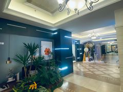 -上海月星家居(澳门路店)
