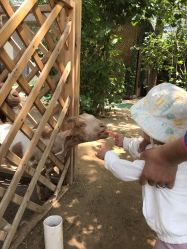 -萌宠亲子动物乐园(槐房万达店)