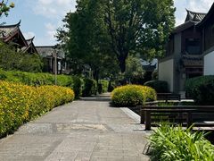 -时光吧·大堂吧·丽江和府洲际度假酒店