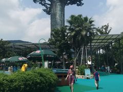 -苏州乐园森林水世界