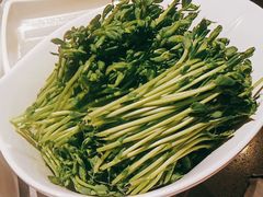 -海底捞火锅(青悦城店)