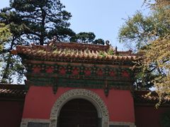 -北陵公园