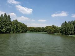 -东湖落雁景区