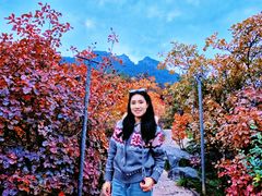 -河南宝泉旅游区