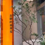 矿泉水刺客🥷