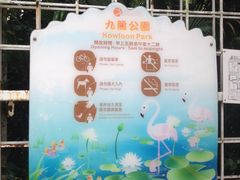 -九龙公园
