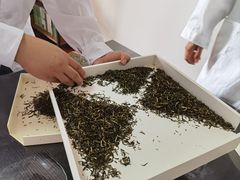 -诗宇时光茶艺书法古琴培训