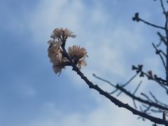 -昆山城市生态森林公园