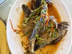 -红月湾海鲜饭店•沙滩海景(双月湾店)