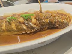 -峰厨大鱼泡饼(水上公园店)