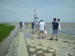 -南汇嘴观海公园