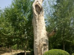 -金百万烤鸭店(马甸店)