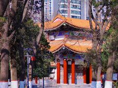 -渭滨公园