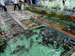 -景好海鲜餐厅(大鹏必选旅游店)