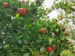 -周震馄饨(雅达阳羡溪山店)