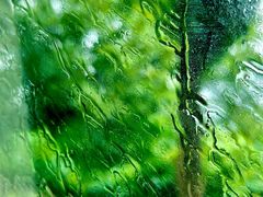 -东天目山风景区