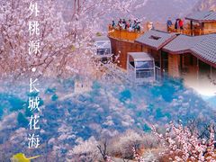 -沉浸北京·团建旅行·密室剧本杀·年会会议轰趴拓展