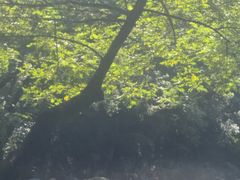 -大围山峡谷漂流