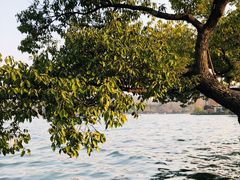 -浙江西子宾馆·瑶园咖啡厅