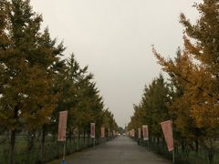 -汉景帝阳陵博物院