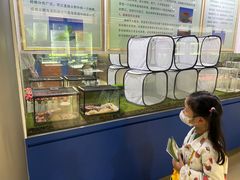 -上海昆虫博物馆