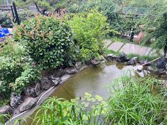 -蘇河湾·新鲁菜·泰山宴(泰山店)