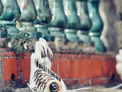 -安海长火土笋冻