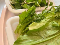-正能量脆肉鲩火锅