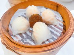 稻香虾饺-稻香酒家·34年老字号·港式粤菜(侨光店)