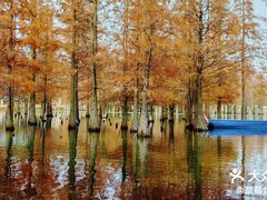 -白鹭湾湿地公园