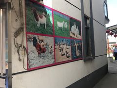 -小鱼草莓采摘园农家乐·小鱼餐厅