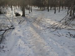 -长春市南湖公园